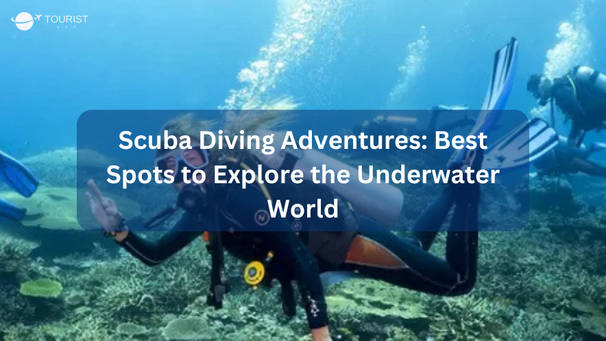 Scuba Diving Adventures